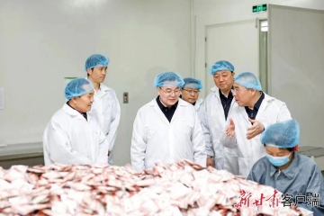 甘肅省委書(shū)記胡昌升莅臨佛仁制藥考察調研