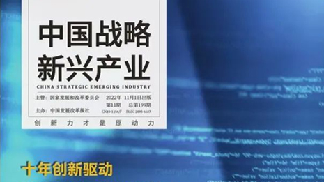 《中國(guó)戰略新興産業》專訪林楊林：大(dà)健康産業一定是慢(màn)工(gōng)出細活